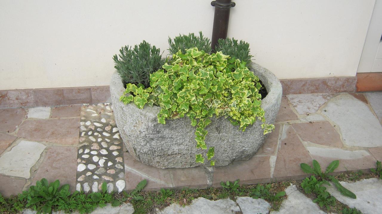 ויטוריו ונטו La Residence Da Caterina מראה חיצוני תמונה