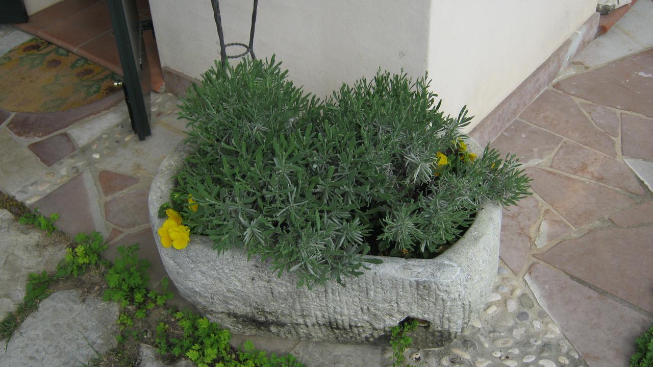 ויטוריו ונטו La Residence Da Caterina מראה חיצוני תמונה