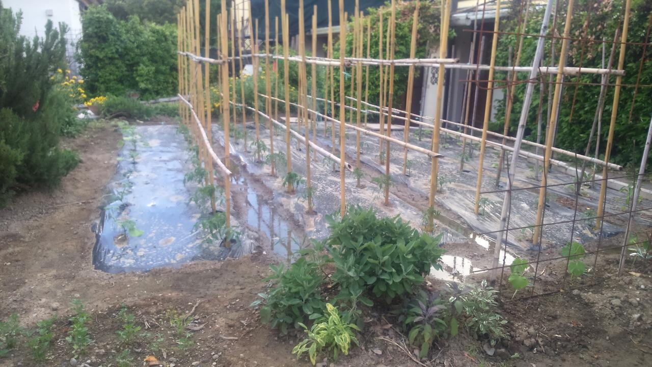 ויטוריו ונטו La Residence Da Caterina מראה חיצוני תמונה